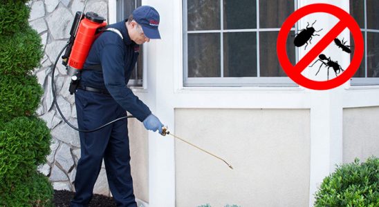 Çatalpınar Gümüşkurt İlaçlama böcek ilaçlama ve haşere kontrolü — ilaclama-tr.com
